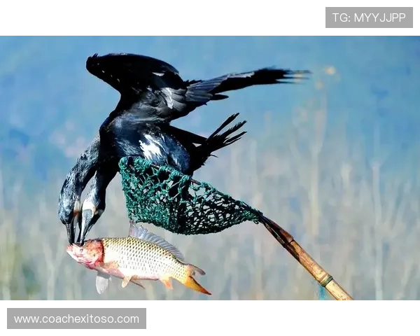 掌握ag捕鱼王技巧的实用秘籍帮助你在激烈的捕鱼比赛中脱颖而出