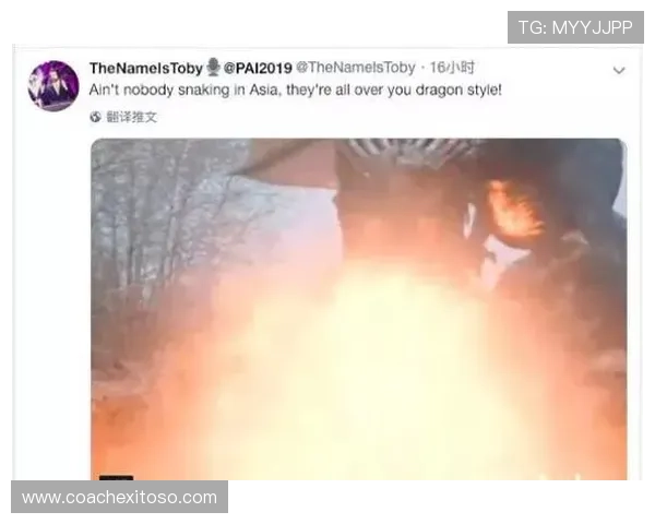 探索PA战队官网的丰富内容与精彩赛事回顾全方位呈现